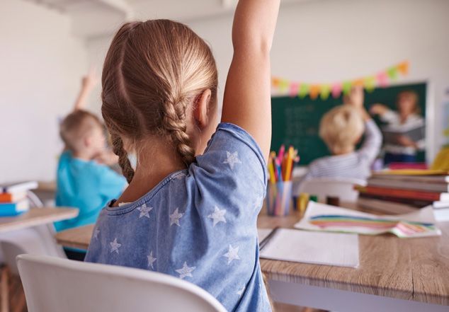 Grado en Maestro en Educación Primaria (Presencial)